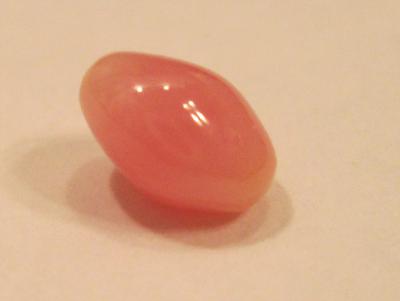 Conch Pearl Conch Pearl