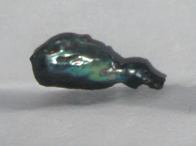 abalone pearl abalone pearl