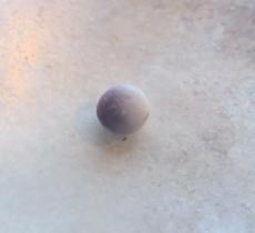 blue mussel pearl blue mussel pearl
