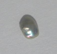 abalone pearl abalone pearl
