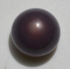 Quahog pearl quahog pearl