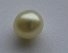 Natural Persian Gulf Pearl Natural Persian Gulf Pearl