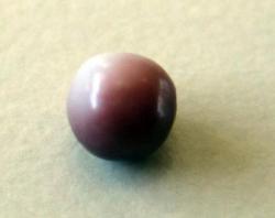Tri color Natural Pearl Tri color Natural Pearl
