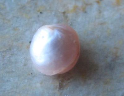Natural Pearl Natural Pearl