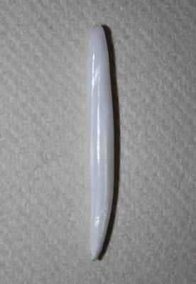 5.65 ct Elongated Clam Pearl 5.65 ct Elongated Clam Pearl