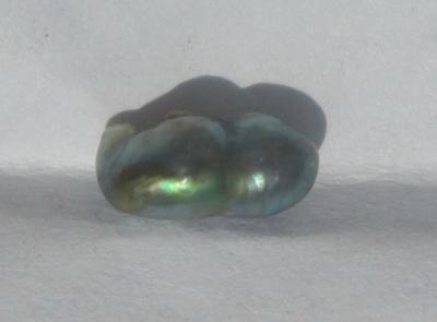 abalone pearl abalone pearl