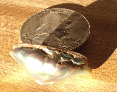 Abalone Pearl 45 carats (beside 50 cent piece) for Sale Abalone Pearl 45 carats (beside 50 cent piece) for Sale