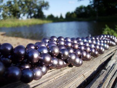 Anderwood Pond Black Pearls Anderwood Pond Black Pearls