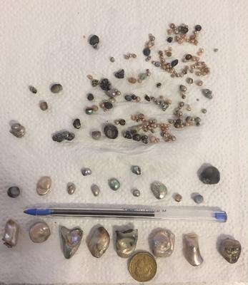 AUSTRALIAN ABALONE PEARLS AUSTRALIAN ABALONE PEARLS