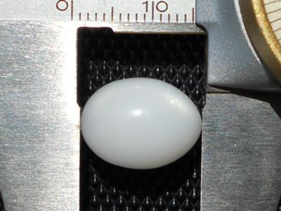 Clam Pearl with Flame 14.80 carats Clam Pearl with Flame 14.80 Carats