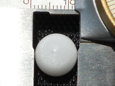 Clam pearl 7.65 cts carats loose pearl Clam pearl 7.65 cts carats loose pearl