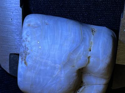 Could this Possibly be a Pearl? Could this Possibly be a Pearl?