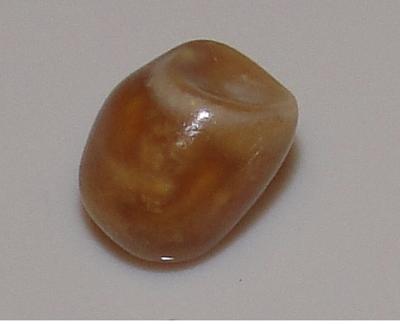 Brown Conch Pearl Brown Conch Pearl