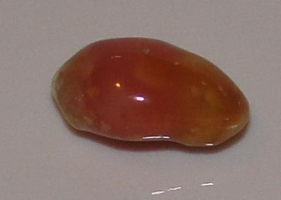 3 carat Conch Pearl Conch Pearl
