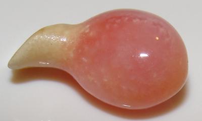 8x6mm Conch Pearl Conch Pearl