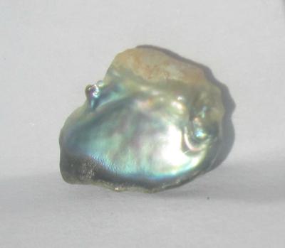 abalone pearl abalone pearl