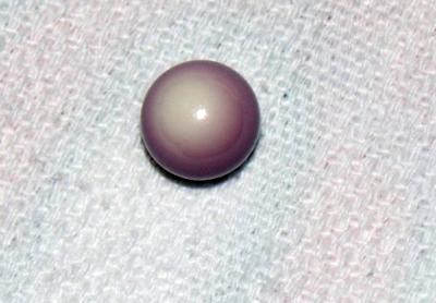Purple & White Quahog Pearl Purple & White Quahog Pearl