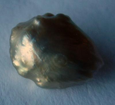 Natural Pearl Natural Pearl