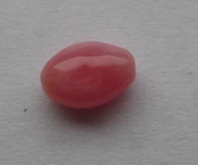 Conch Pearl 4carat Conch Pearl
