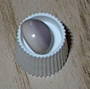 Large Quahog Pearl Large Quahog Pearl