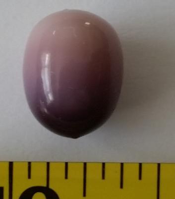 Quahog pearl - BBQ find Quahog pearl - BBQ find