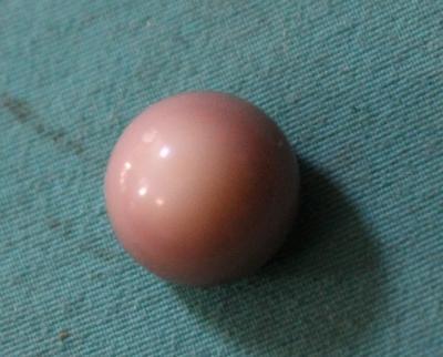 quahog pearl quahog pearl