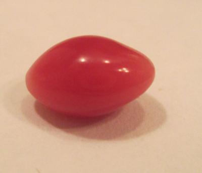 conch pearl conch pearl
