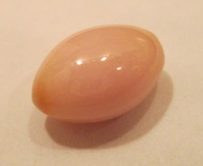 Conch Pearl Conch Pearl