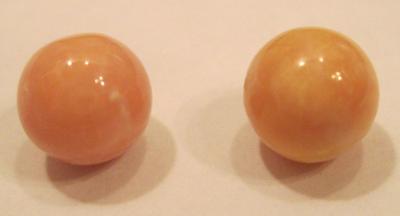 conch pearl conch pearl