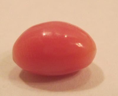conch pearl conch pearl