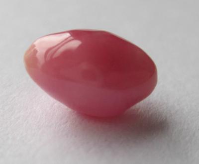 conch pearl conch pearl