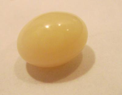 Conch Pearl Conch Pearl