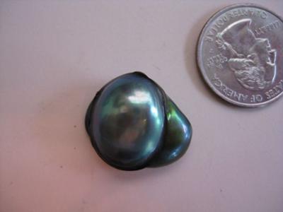 Curt's Abalone Pearl Curt's Abalone Pearl