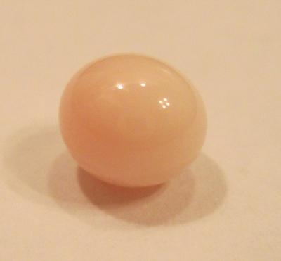 Conch Pearl Conch Pearl