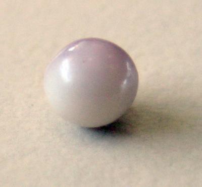 purple blue mussel pearl purple blue mussel pearl