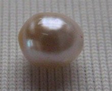 Natural Persian Gulf Pearl Natural Persian Gulf Pearl