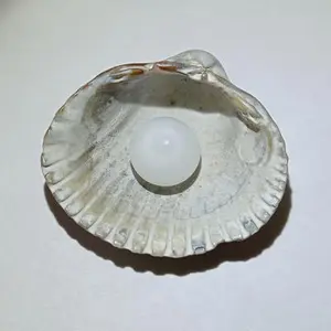 2 ct Clam Pearl with Flame for Sale