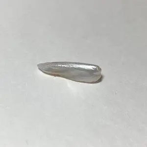 7ct USA Spike Pearl