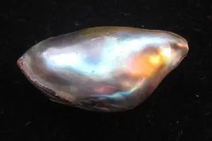 Abalone Pearl with Iridescence 10 carats 24mm