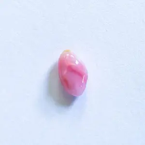 Beautiful Pink Conch Pearl Oval 7mm