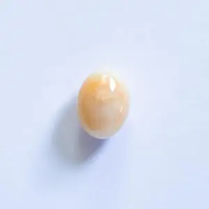 Beige Oval Conch Pearl 1+ carat 7mm 