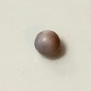 Blue Mussel Saltwater Pearl Roundish Lavender