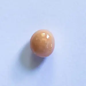 Conch Pearl 2+ carat 7mm Oval Light Peach 