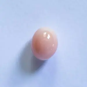 Conch Pearl Egg Shape Light Peach 3+ carat 8mm 