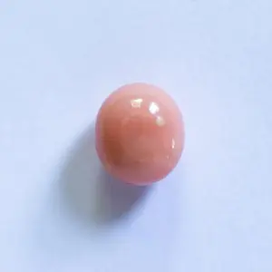 Conch Pearl Egg Shape Peach Color 3+ carat 8mm