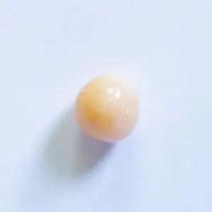 Conch Pearl Roundish 2+ carat 7mm Light Peach