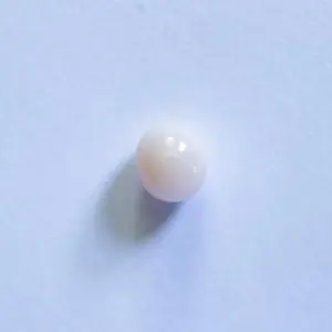 Conch Pearl Small White Oval 5mm
