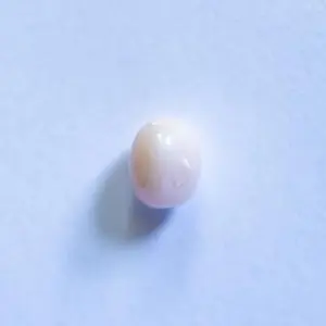 Conch Pearl White Oval 1+ carat 6mm