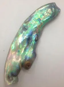 Gorgeous Natural Abalone Wing Shaped Pearl 