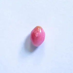 Gorgeous Pink Conch Pearl Oval 6mm 
